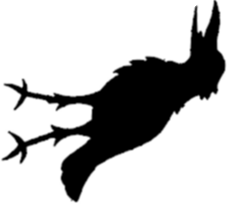 crow.png